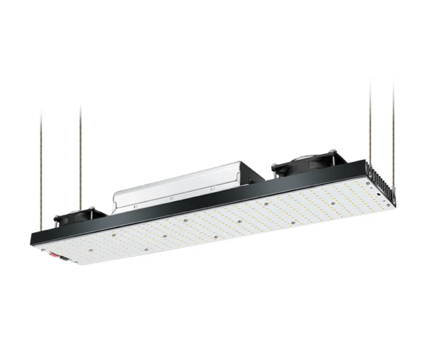 Painel led lm301h 240w